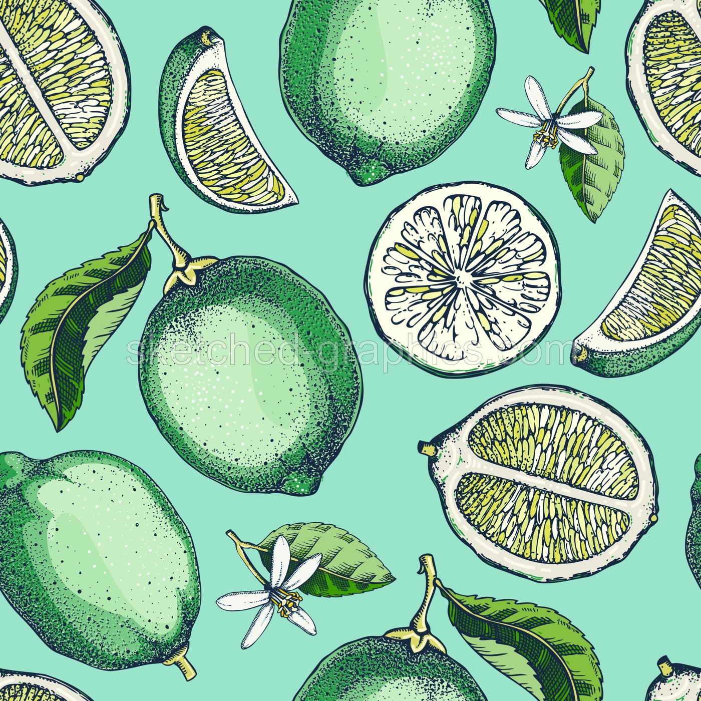 Lime fruit background. Citrus fruit sketches. Watercolor style botanical design. Exotic plants seamless pattern. Hand-drawn vector illustration. NOT AI generated Illustration
